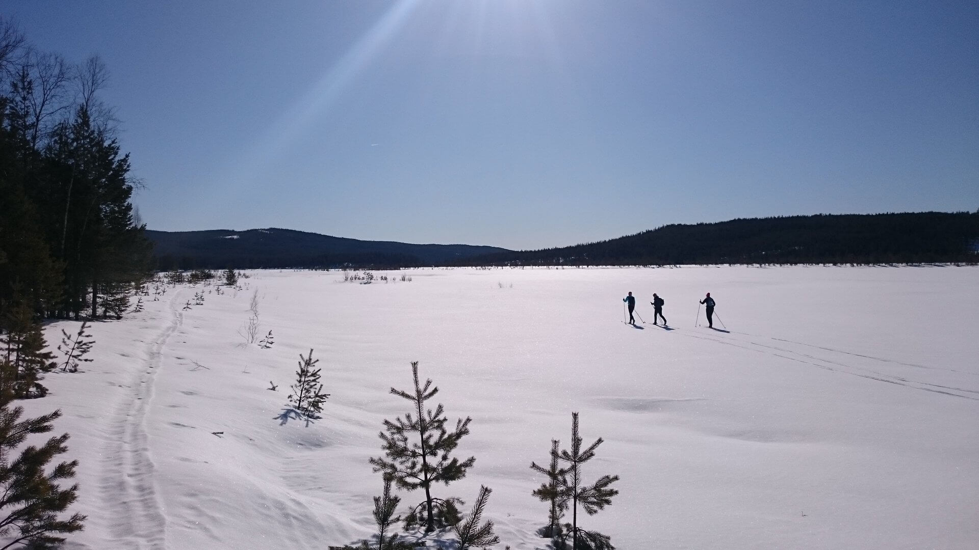 Personer skidar i ett öppet landskap