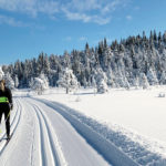 Kvinna åker skidor förbi Brännberg