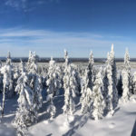 Utsikt från Brännbergstornet på vintern