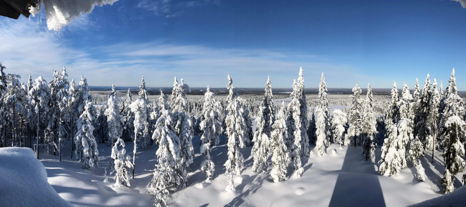 Utsikt från Brännbergstornet på vintern